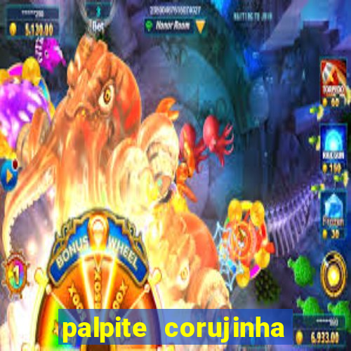 palpite corujinha de hoje